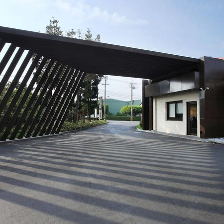 Holly Wood Motel Pitou Экстерьер фото